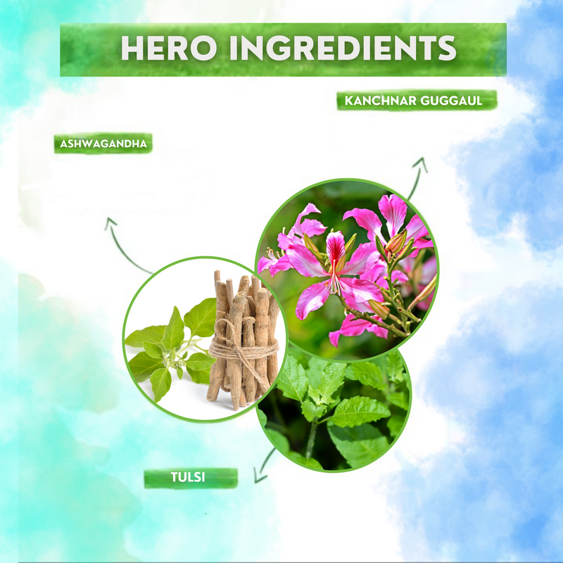 ANGEL THYROID CARE TAB