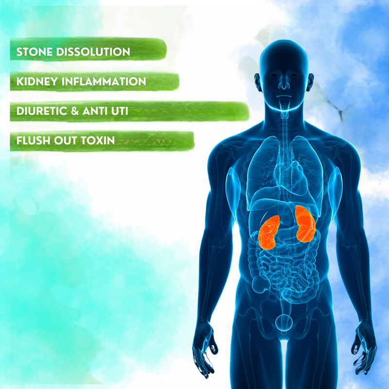 KIDNEY CARE COMBO