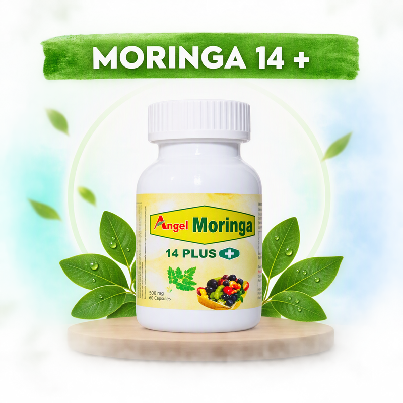 MORINGA 14 +